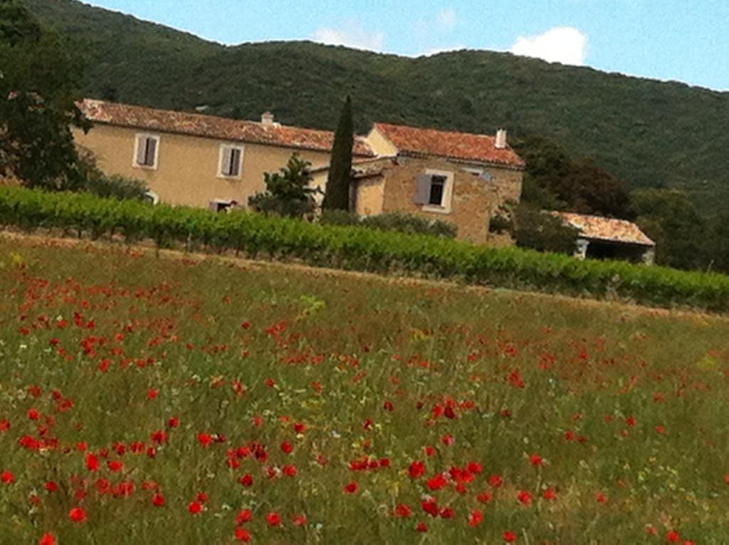 La Rivayne Bed & Breakfast Lourmarin Room photo